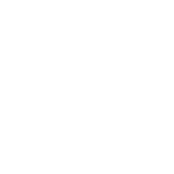 Artificial<br>Intelligence