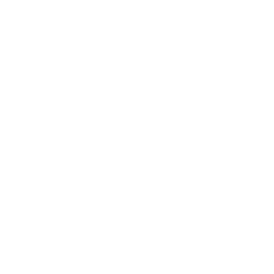Custom<br>Development